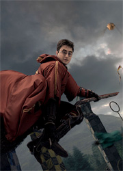 В Великобритании создали лигу квидича