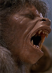 Макс Лэндис снимет римейк "Американского оборотня в Лондоне"