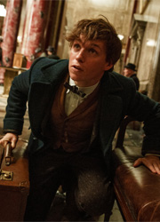 "Фантастические твари" возглавили американский прокат