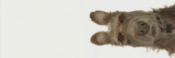 Название и кастинг-лист нового мультфильма Уэса Андерсона