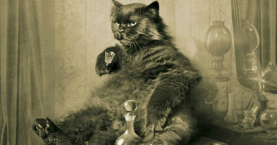 Роман &laquo;Мастер и Маргарита&raquo; готовится к очередной экранизации