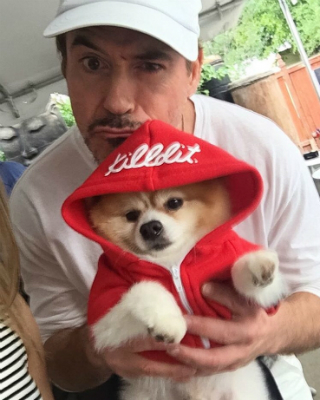 Роберт Дауни-мл. и Ричард Линклейтер расскажут о хирурге-шарлатане